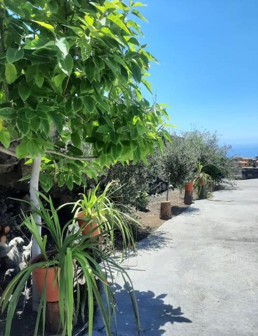 Mi Rinconcito Villa Los Llanos De Aridane Kültér fotó